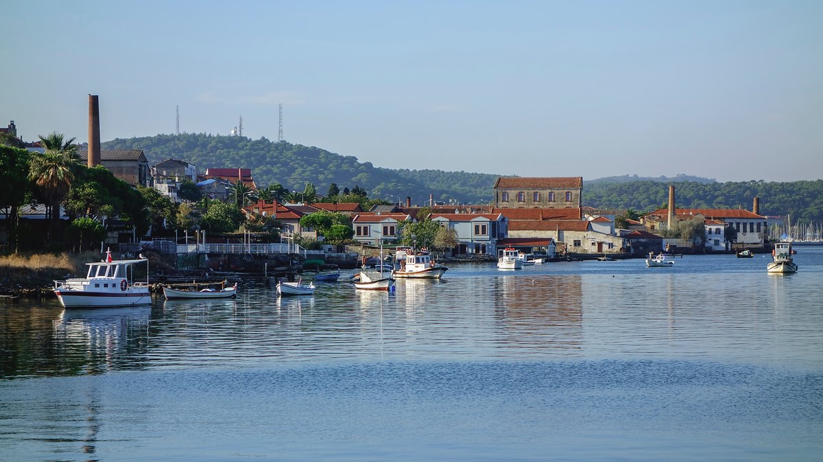 Zeytin Ağaçlarının Gölgesinde Yaşayan Tarih