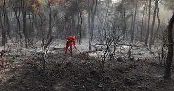 Forest fire erupts in Istanbul's Heybeliada