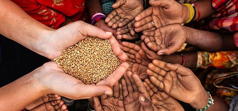 Climate crisis forces 52M Africans to face hunger