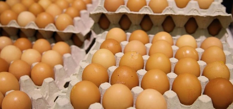 TURKEYS FOOD BODY SAYS TAINTED EGGS MIRED IN POLITICS