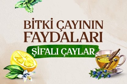 Bitki çayının faydaları - Şifalı çaylar