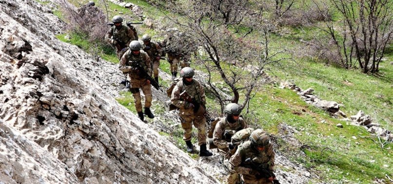 4 PKK TERRORISTS NEUTRALIZED IN SOUTHEASTERN TURKEY