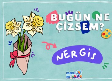 Bugün Ne Çizsem? Nergis