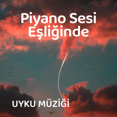 Hayal Gibi