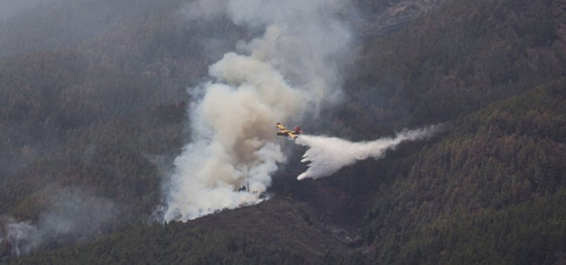 THOUSANDS EVACUATED ON SPAINS TENERIFE AS SUMMER WILDFIRE RE-IGNITES