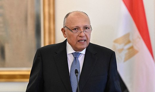 Egyptian FM discusses Gaza with acting Iranian counterpart
