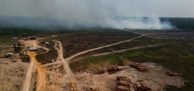 DEFORESTATION IN BRAZILS AMAZON HITS SEPTEMBER RECORD AS FIRES SPIKE