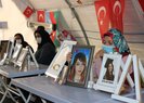 Kurdish mothers not to end anti-PKK sit-in protest until kidnapped children freed