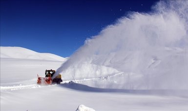 Avalanche kills 4 in central France