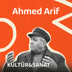Ahmed Arif ile Hasretinden Prangalar Eskittim