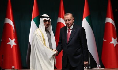 UAE ‘important strategic partner’ for Türkiye: Ambassador