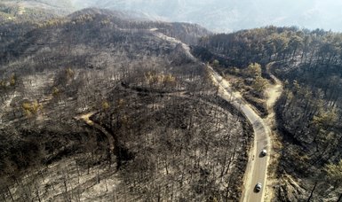 88 forest fires across Turkey under control: Official
