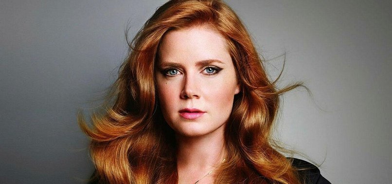 HOLLYWOOD TAKES BREAK FROM SCANDAL TO HONOR AMY ADAMS