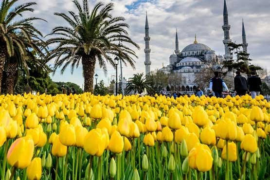 Gecmisle Gelecek Arasinda Lale Fikriyat Gazetesi