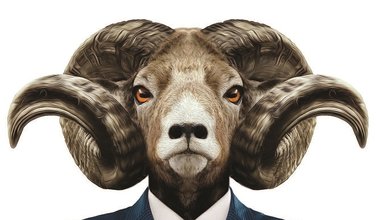 GÖRÜNME HASTALIĞI VE BİYOİKTİDAR