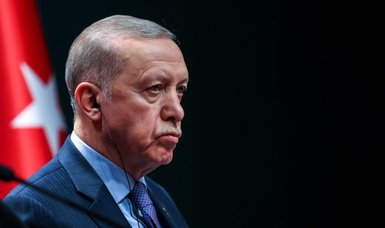Erdoğan: Türkiye will make every effort to ensure that Israel 'gets appropriate punishment' at ICJ