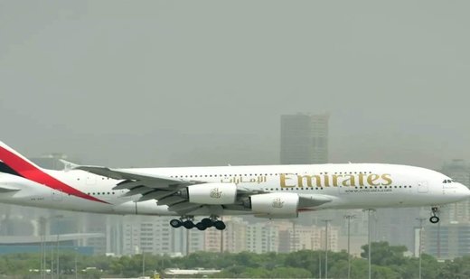 Emirates flight lands safely after hitting flamingos in Mumbai