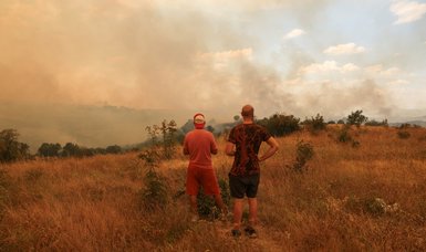 Wildfires in Greece bring environmental and health issues