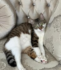 Nina 