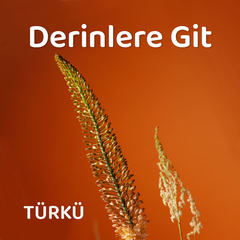 Derinlere Git | Türkü