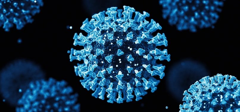 Covid XEC Variant Symptoms