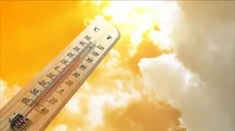 Almanya’da Yüzyılın Yazı Yaşandı
