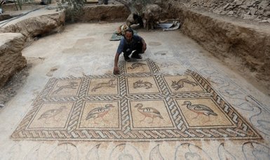 Byzantine-era mosaic revealed by Gaza farmer