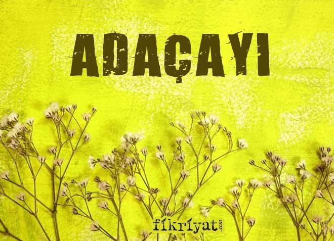 ADA ÇAYI FAYDALARI