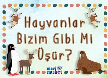 Hayvanlar Bizim Gibi Mi Üşür?