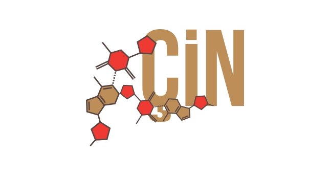 Uygurlara DNA fişlemesi