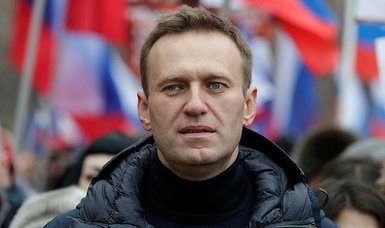 Russia accuses Ukraine and Navalny 'agents' of blogger killing
