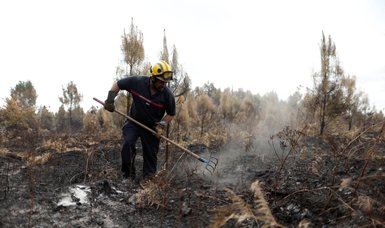 Fires in southwest France stabilize after destroying 20,800 hectares of forests