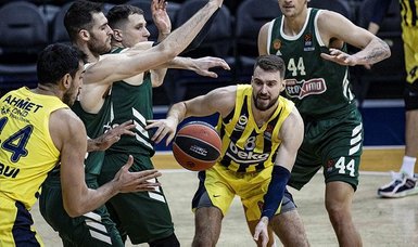 Fenerbahçe beat Panathinaikos for fifth straight win