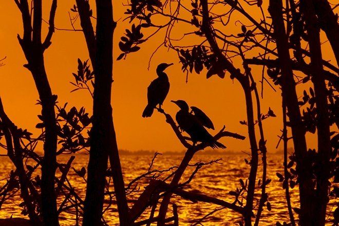 Edebiyatın önemli şairlerinden bahar konulu şiirler