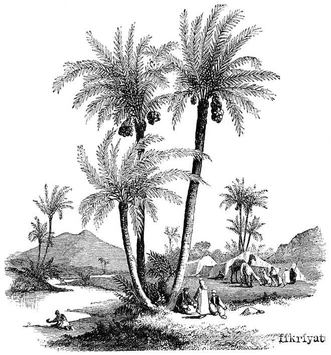 EBU DERDA’NIN R.A. HADİS RİVAYETİ