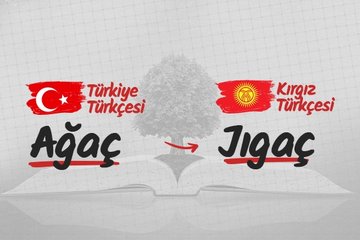 Türk lehçelerinde ağaç