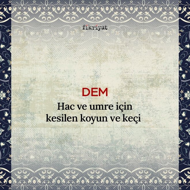 DEM NE DEMEK?