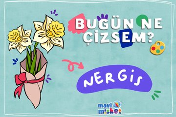 Mavimisket I Bugün ne çizsem? Nergis