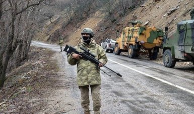 2 PKK terrorists surrender to Turkish forces at border