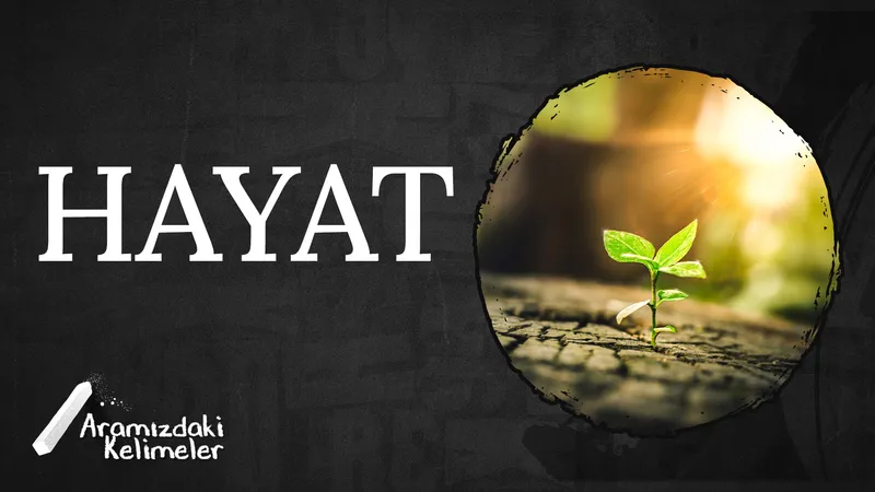 Hayat I Aramızdaki Kelimeler