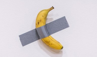 6.2M for a Banana: Maurizio Cattelan's 'Comedian' sold to crypto founder