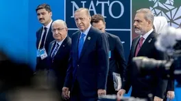 Türkiye NATO Zirvesi'ne Hazırlanıyor