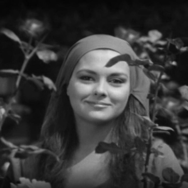 Çalıkuşu 