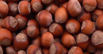 Turkey earns $1.7B through hazelnut exports