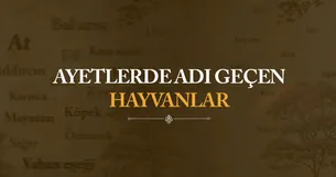 Ayetlerde Adı Geçen Hayvanlar