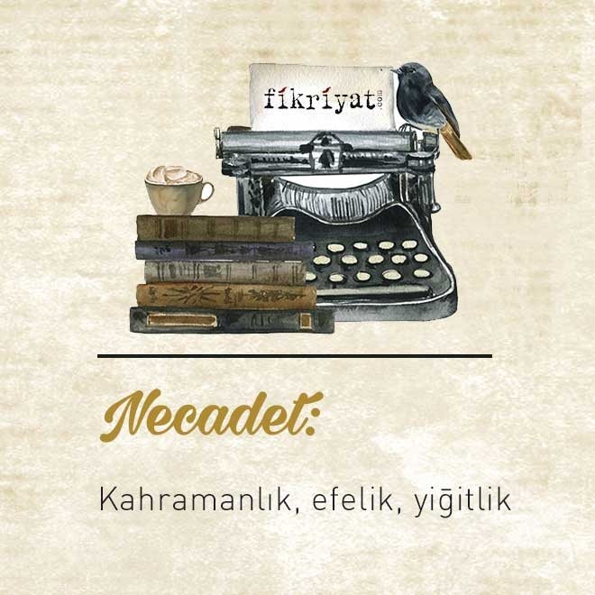 NECADET
