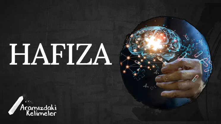 Hafıza | Aramızdaki Kelimeler