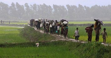Global community 'buries head in sand' over Rohingya