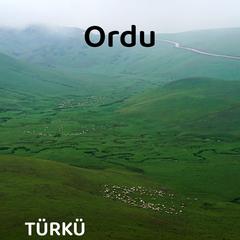 Gene Yeşerdi Fındık Dalları