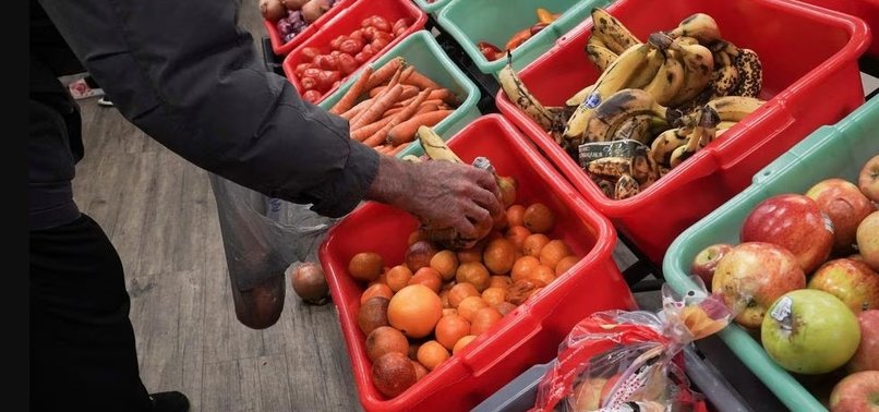 WORLD FOOD PRICES FALL AGAIN IN JUNE - UN FOOD AGENCY